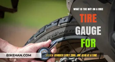 Understanding Bike Tire Gauges: The Essential Nut Component