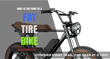 Exploring the Advantages: What's the Point of a Fat Tire Bike?