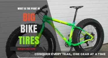 Rolling Resistance: The Surprising Benefits of Big Bike Tires