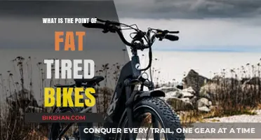 Exploring the Purpose and Appeal of Fat-Tired Bikes: A Comprehensive Guide
