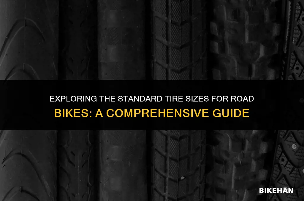 what is the regular size for road bike tires