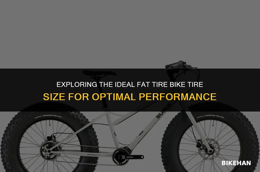 what is the standard fat tire bike tire size