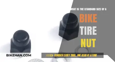 Understanding Bike Tire Nuts: A Guide to Standard Sizes
