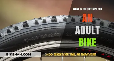 Choosing the Right Tire Size for Your Adult Bicycle