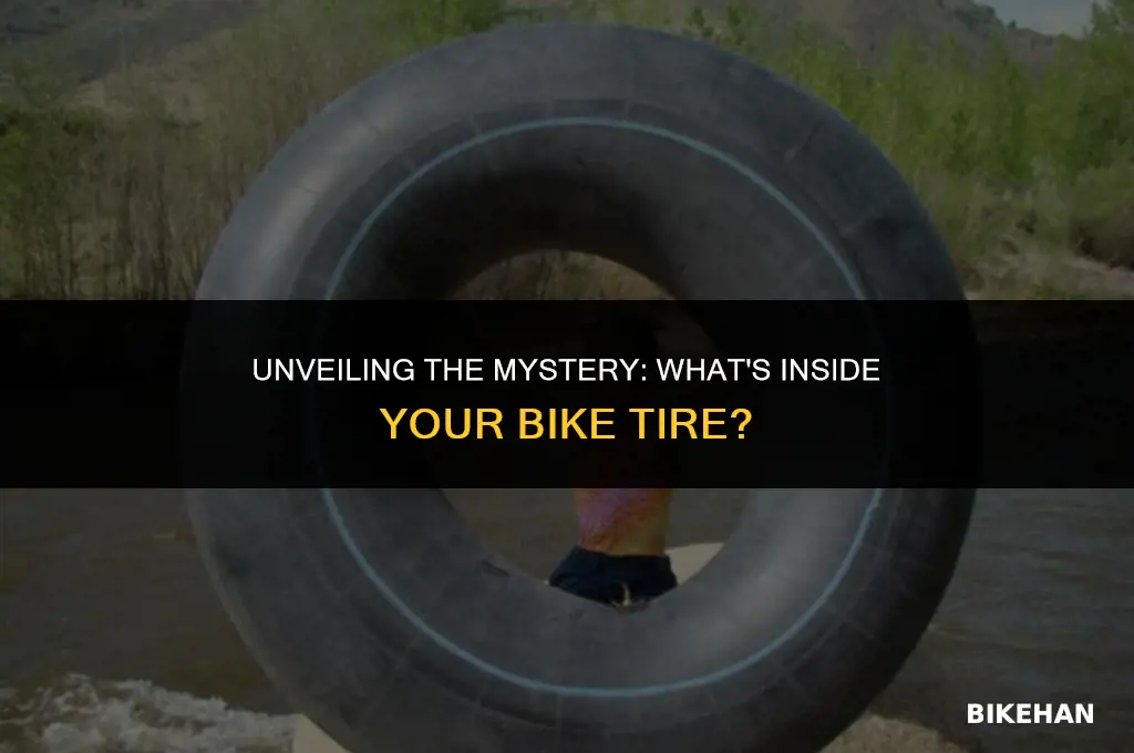 what is the tube inside a bike tire called