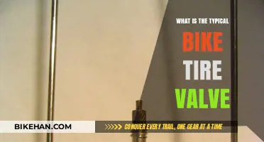Exploring the Standard Valve Types for Bicycle Tires