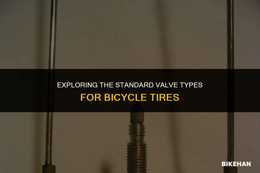 what is the typical bike tire valve
