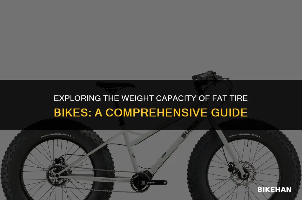 what is the weight limit on a fat tire bike