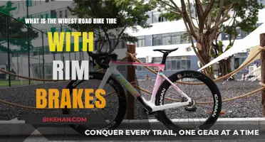 Exploring the Widest Road Bike Tires Compatible with Rim Brakes
