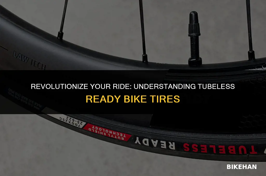 what is tubeless ready bike tire