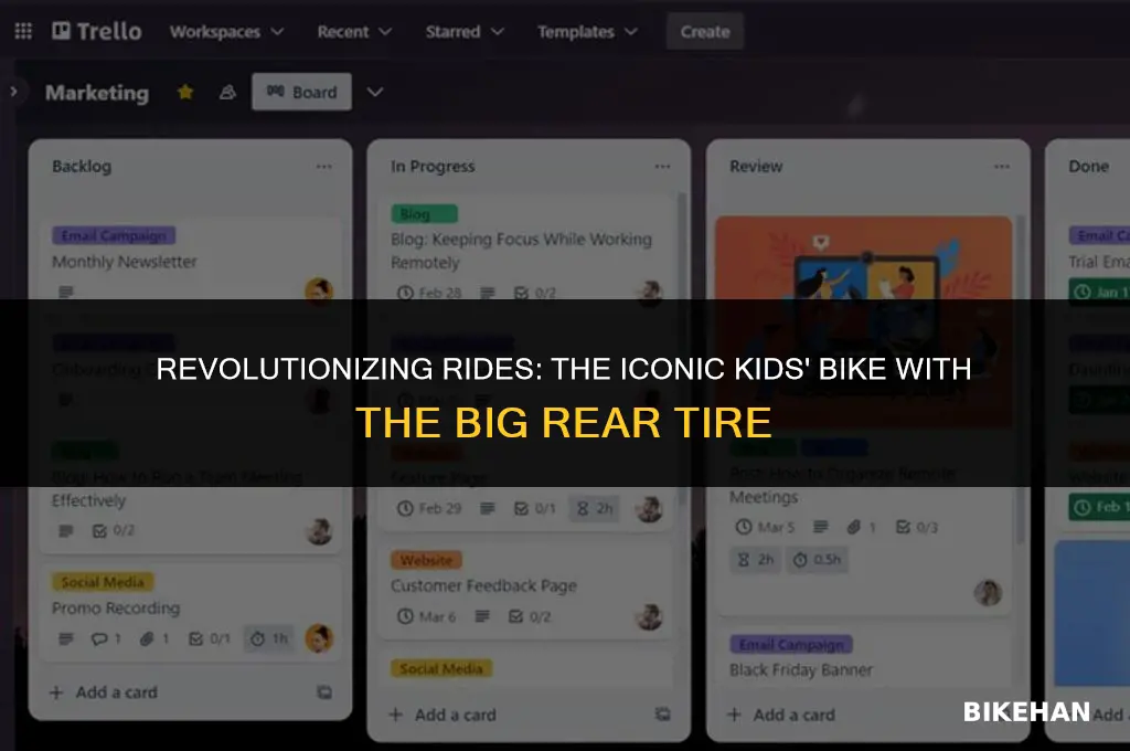what kids bike had the big rear tire