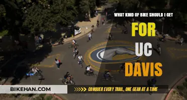 Choosing the Perfect Bike for UC Davis: A Comprehensive Guide