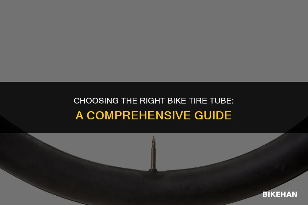 what kind of bike tire tube do i need