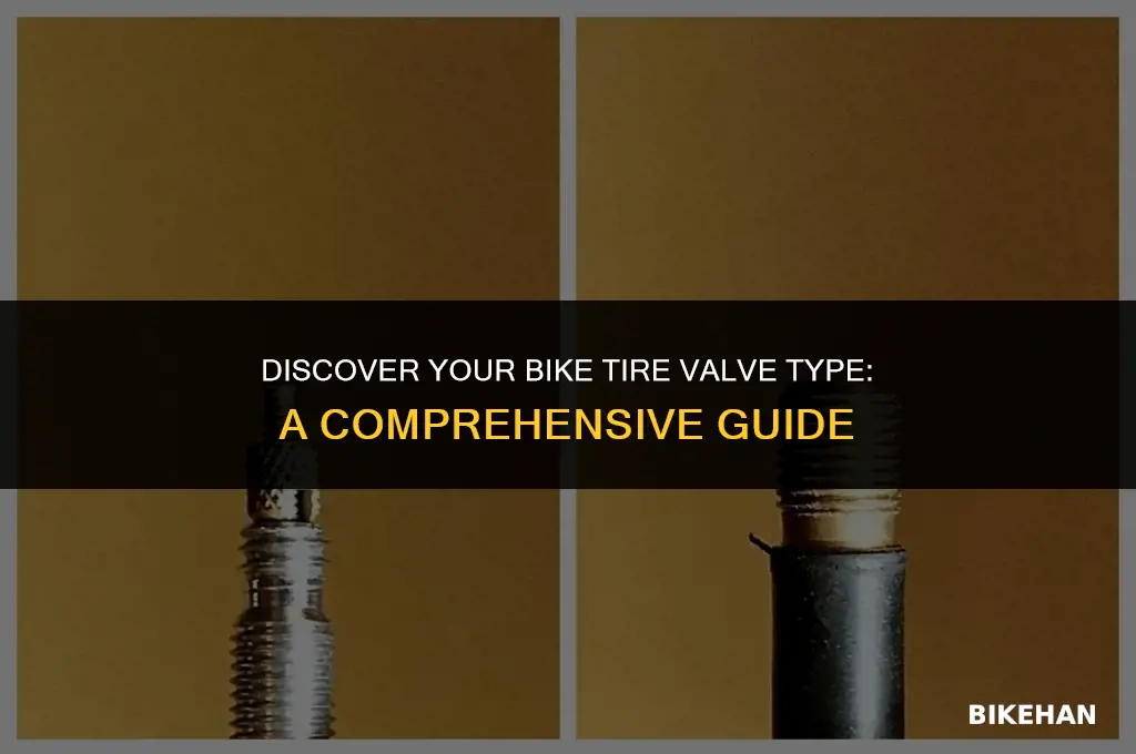 what kind of bike tire valve do i have