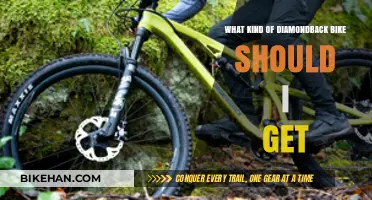 Choosing the Perfect Diamondback Bike: A Comprehensive Guide