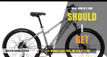 Choosing the Perfect E-Bike: A Comprehensive Guide for Beginners