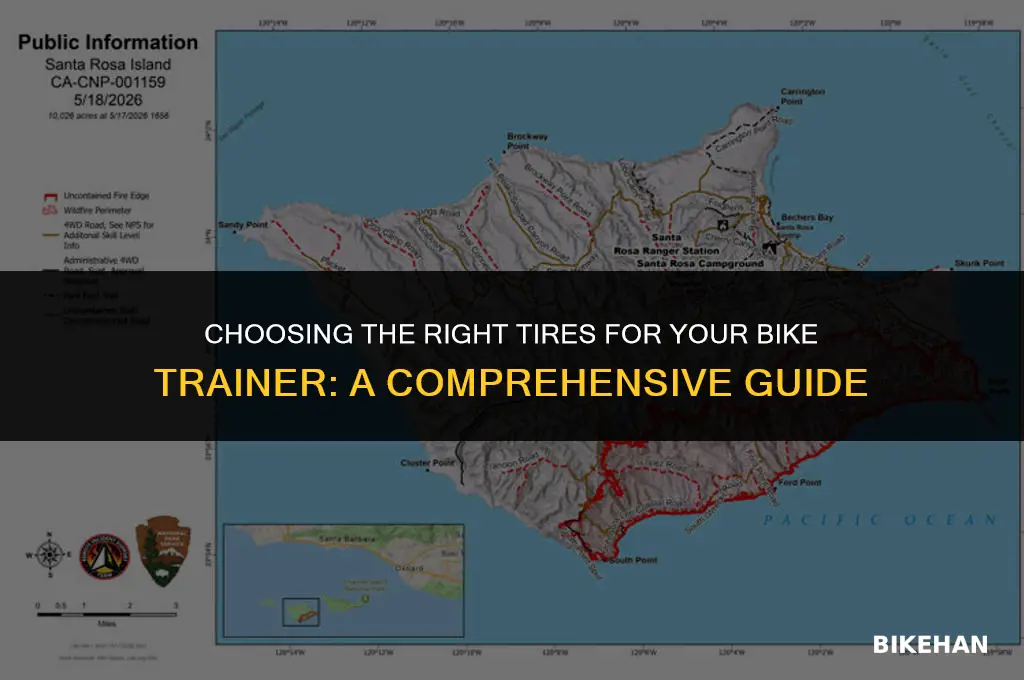 what kind of tires to use for a bike trainer