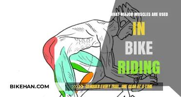 Pedal Power: Unveiling the Key Muscles Engaged in Cycling