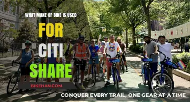 Pedaling Through the City: Unveiling Citi Bike's Preferred Make