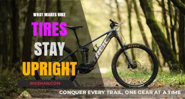 The Science Behind Bike Tires: How They Stay Upright