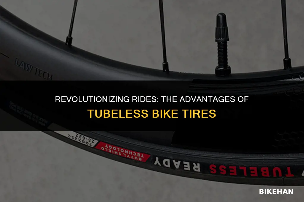 what makes bike tires tubeless