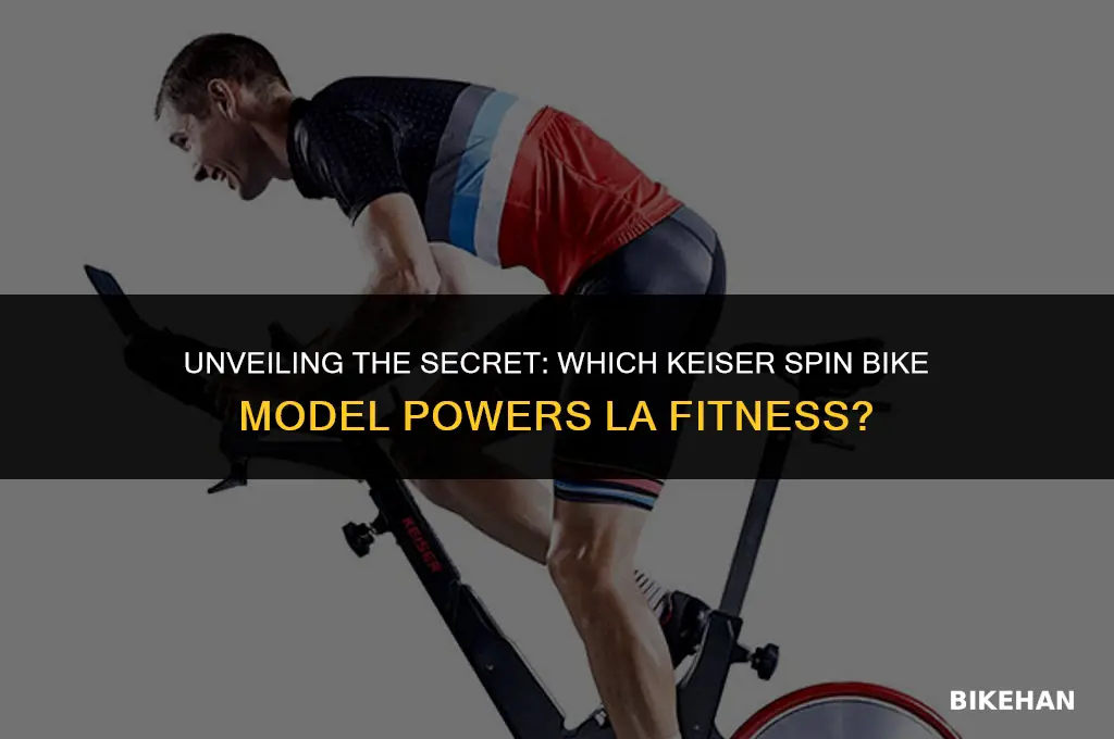 what model keiser spin bike does la fitness use