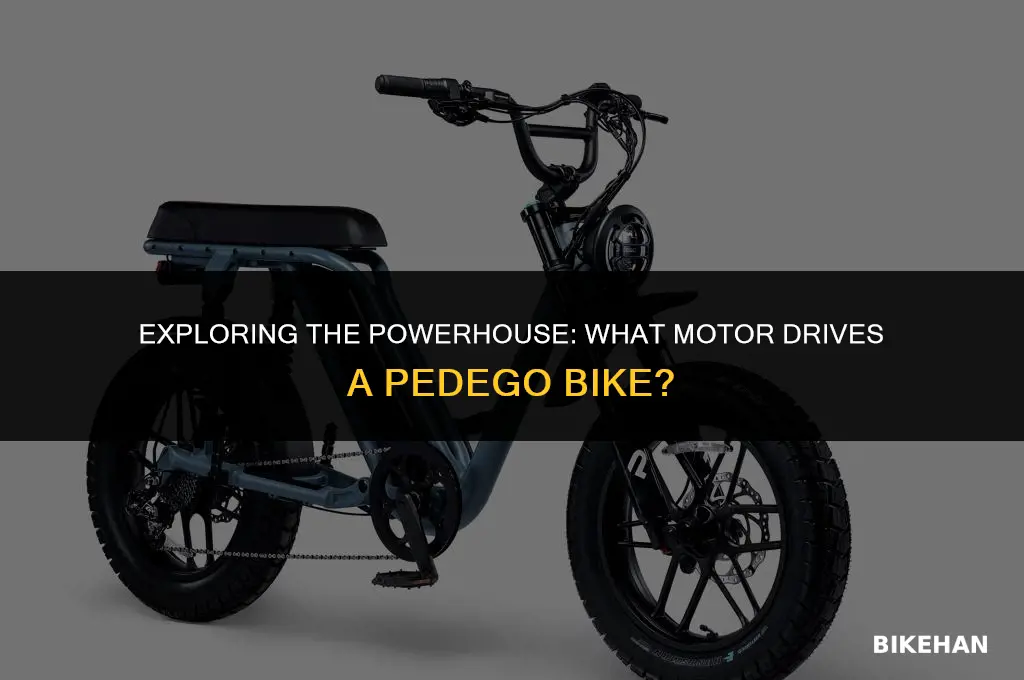 what motor does a pedego bike use