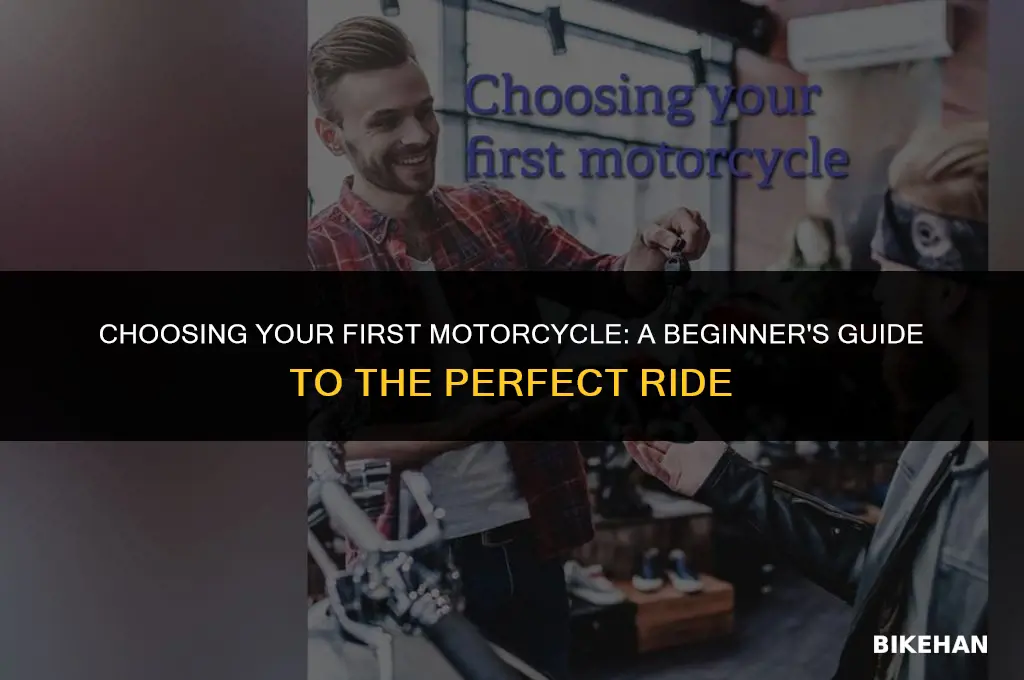 what motorcycle should i get for my first bike