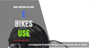 Exploring the Powerhouses: Motors Behind Giant E-Bikes