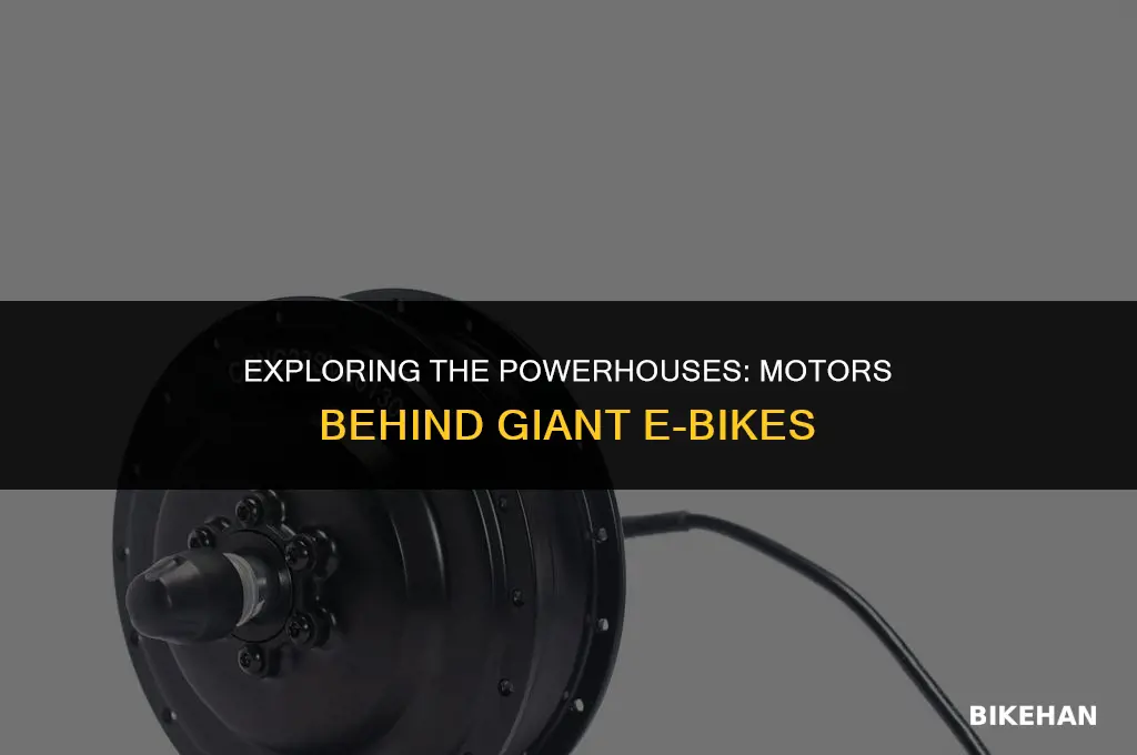 what motors do giant e bikes use