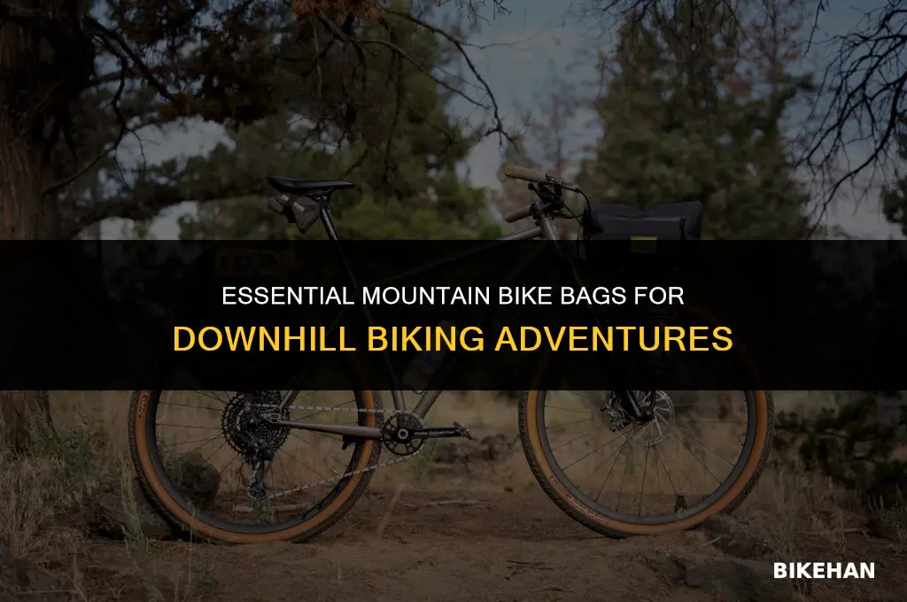 what moutain bike bag to downhill bikers use