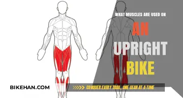 Pedaling Power: Unveiling the Muscles Engaged on an Upright Bike