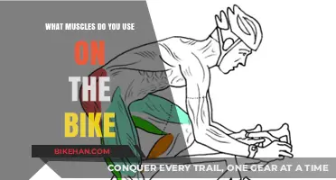 Pedal Power: Unveiling the Muscles Behind Your Bike Ride