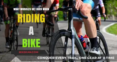Pedal Power: Unveiling the Muscles Engaged in Cycling