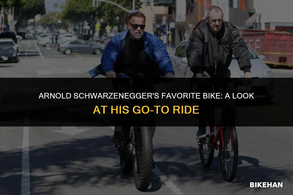 what name brand bike does arnold schwarzenegger use