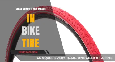 Decoding Bike Tire Sizes: What Does 700 Really Mean?
