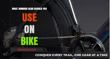 Choosing the Right Gear: A Beginner's Guide to Bike Gearing