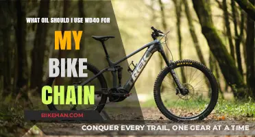 Lubricating Your Bike Chain: Is WD-40 the Right Choice?