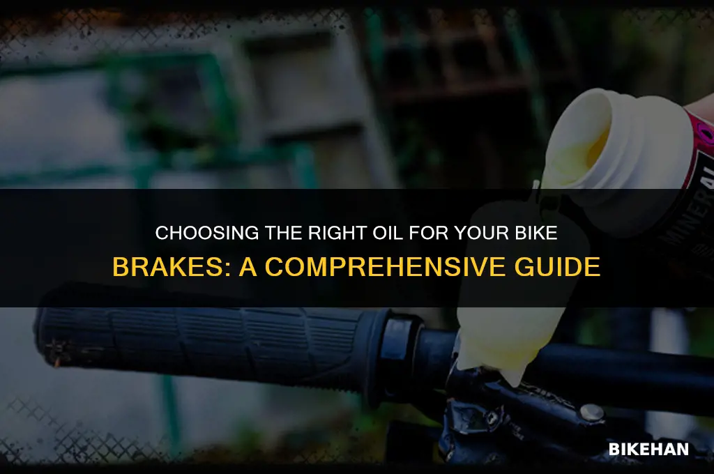 what oil to use on bike breaks