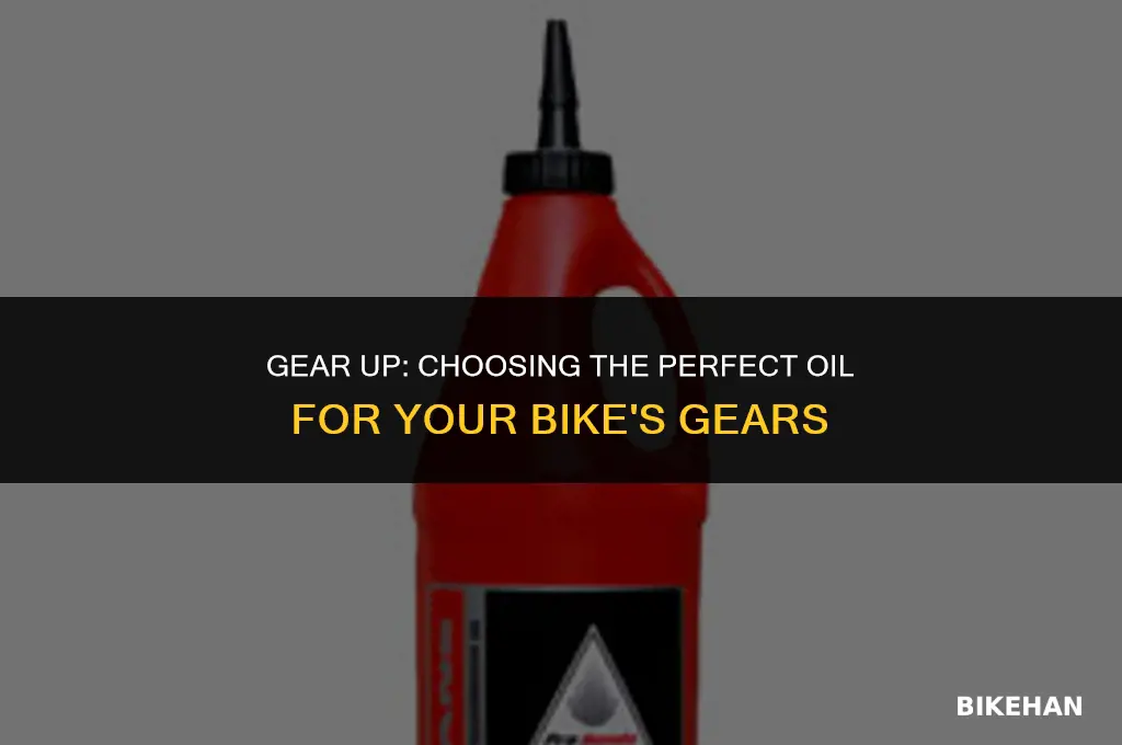 what oil to use on bike gears