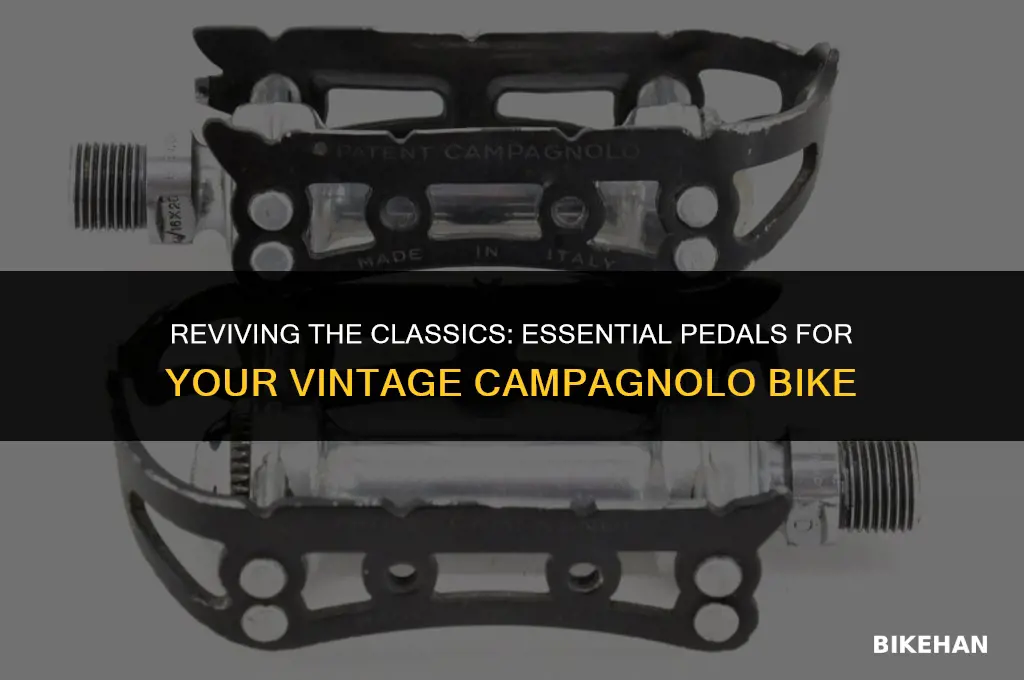 what pedals should i get for vintage campagnolo bike