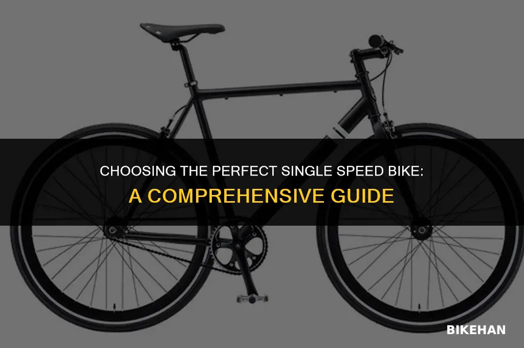 what single speed bike should i get