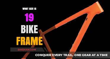 Understanding Bike Frame Sizes: A Guide to 19-Inch Frames