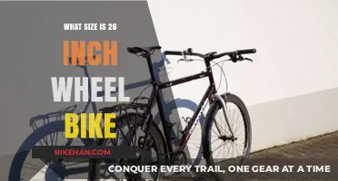 Exploring the Ideal Bike Size: A Guide to 26-Inch Wheel Bicycles