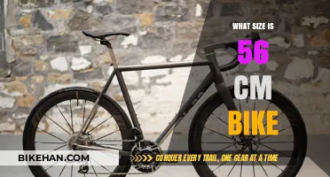 Understanding Bike Sizes: A Guide to 56 cm Bicycles