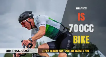 Exploring the Dimensions: What to Expect from a 700cc Bike