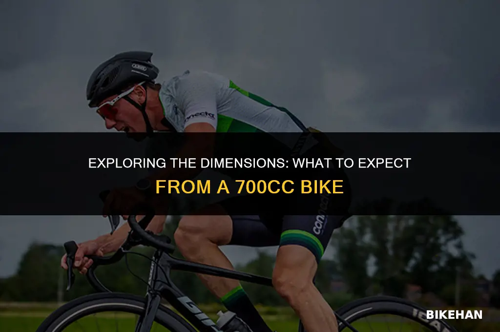 what size is 700cc bike