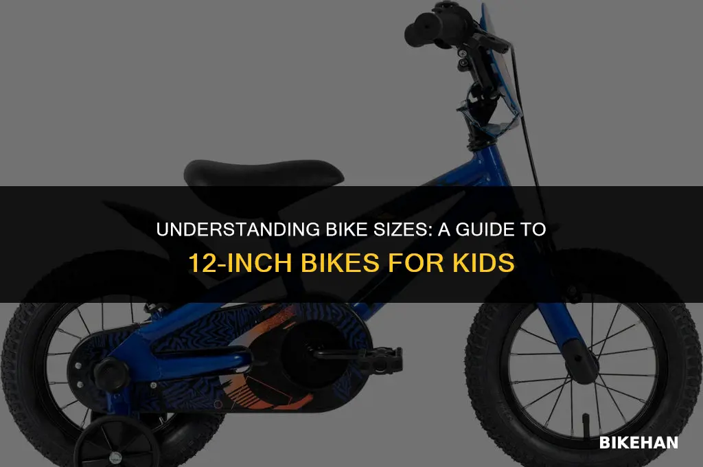 what size is a 12 inch bike