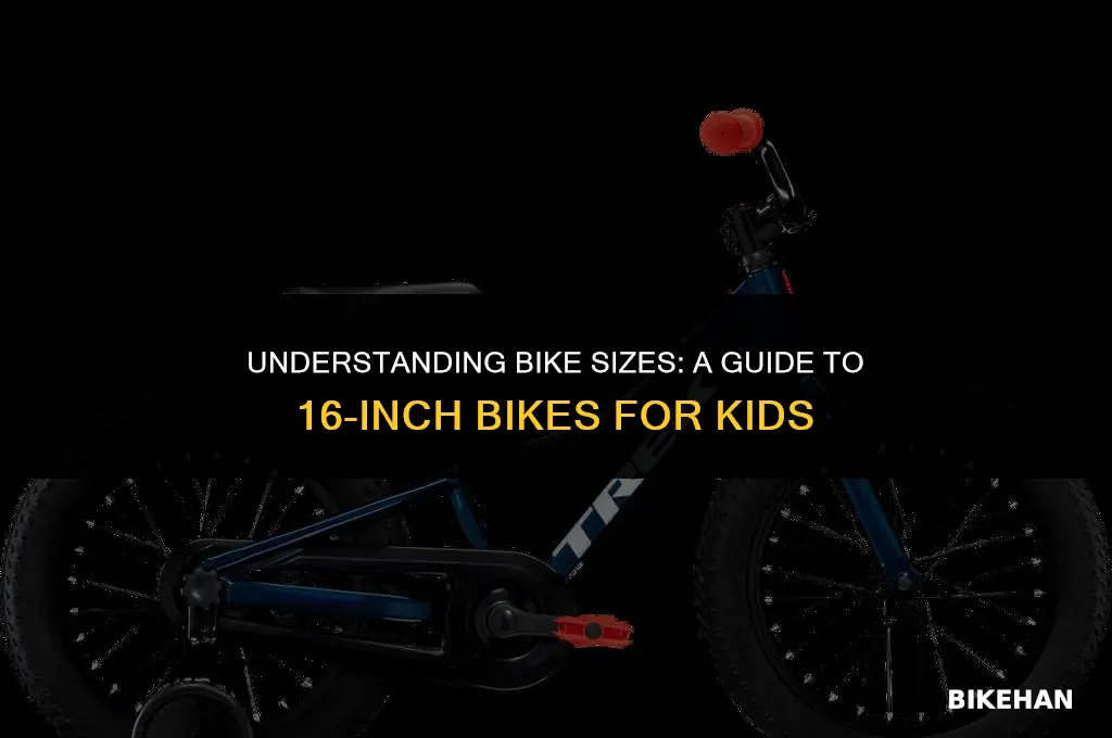 what size is a 16 inch bike