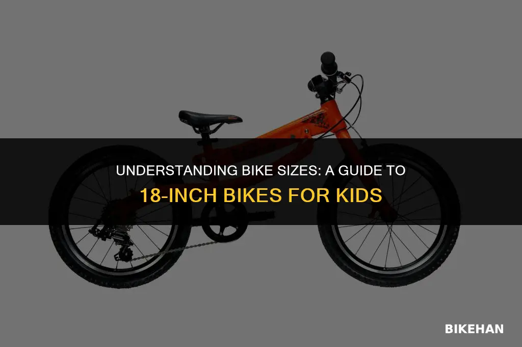 what size is a 18 inch bike